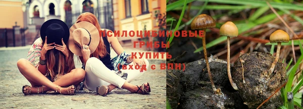 стафф Волосово