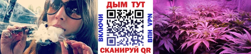 хочу наркоту  Электроугли  Бошки Шишки сатива 